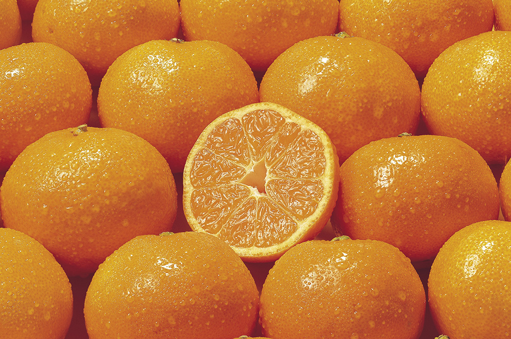자연 비타민 그 자체, 귤