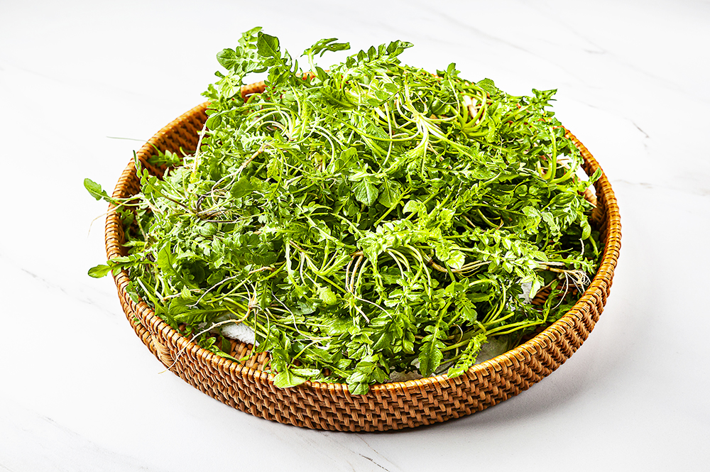 향긋한 내음 가득, 냉이